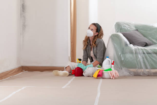 Reliable Mold Removal contractor in Lilburn, GA by WQB Mold Removal